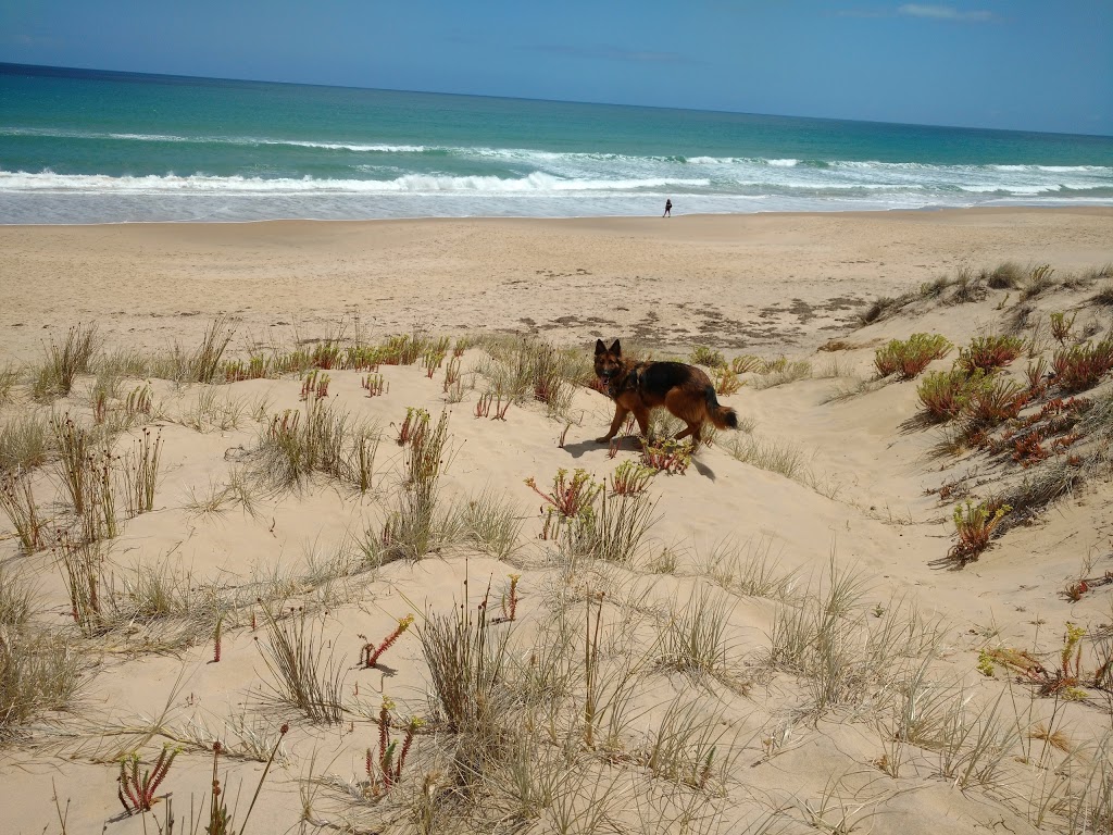 Dog Beach/Off Lead | LOT 806 Gulf Parade, Maslin Beach SA 5170, Australia | Phone: (08) 8384 0666