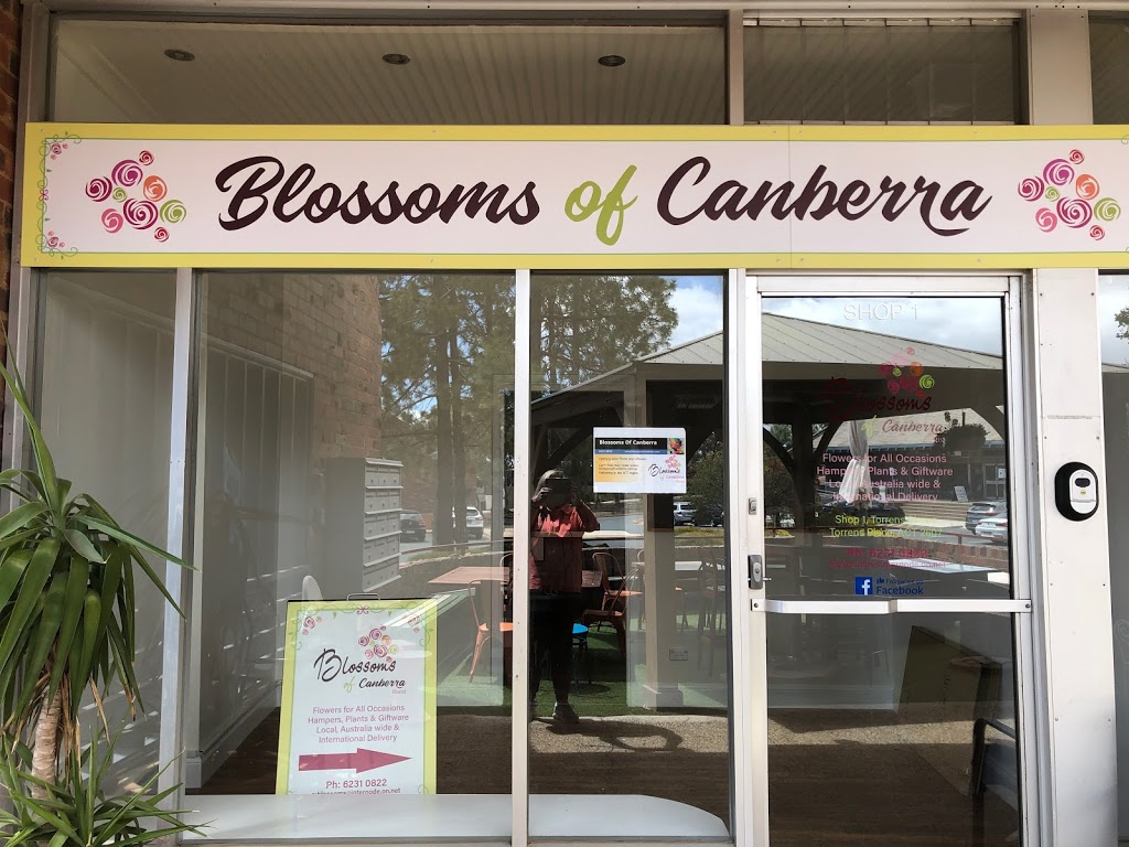 Blossoms of Canberra | Shop 1/23 Torrens Pl, Torrens ACT 2607, Australia | Phone: (02) 6182 1133