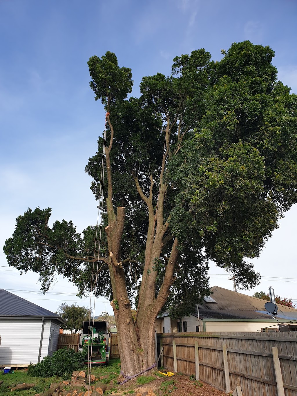 Robs Tree Service | 71 Boulton Cres, Tyers VIC 3844, Australia | Phone: 0419 519 454