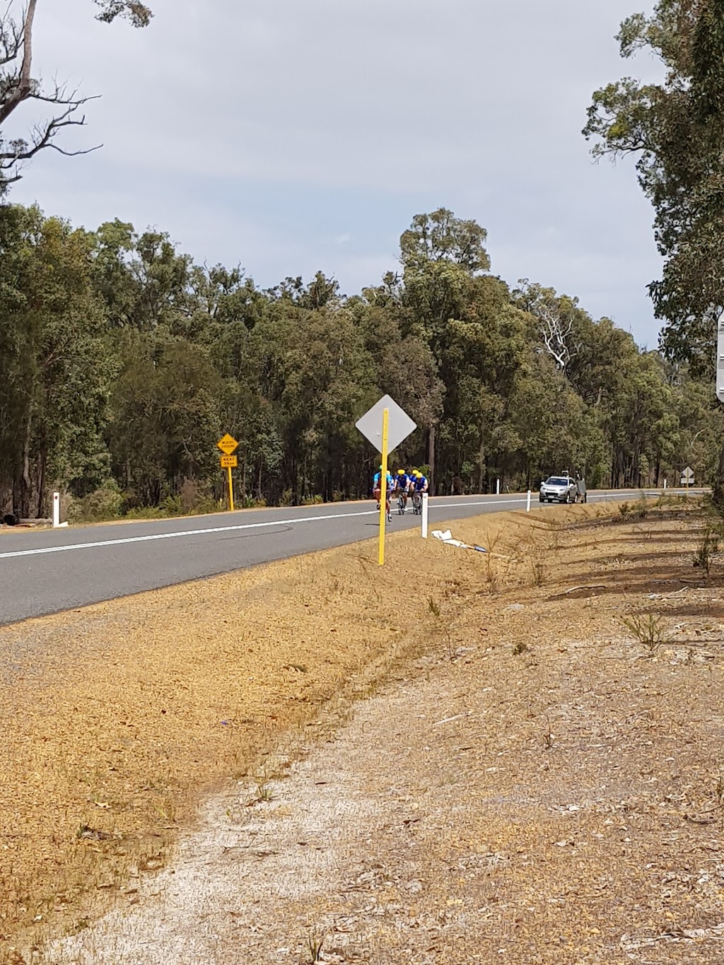 Nannup Golf Course Dog Exercise Area | park | Centenary Dr, Nannup WA 6275, Australia