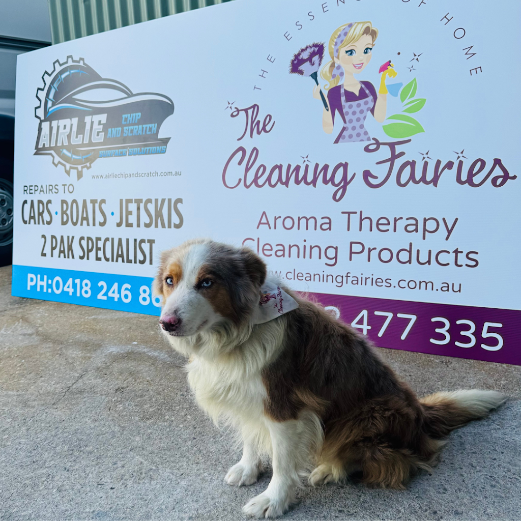 Cleaning Fairies Pty Ltd | Factory 2/1 Midge Point Rd, Bloomsbury QLD 4799, Australia | Phone: 0402 477 335