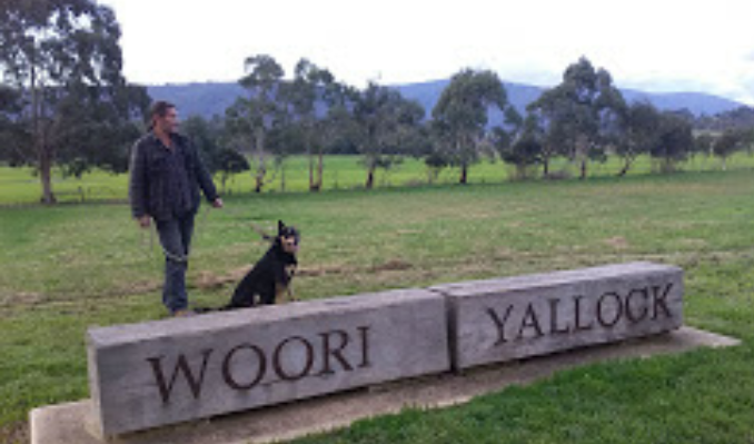 Sunrise dog walks | Warburton Rail Trail, Woori Yallock VIC 3139, Australia | Phone: (03) 5964 6757