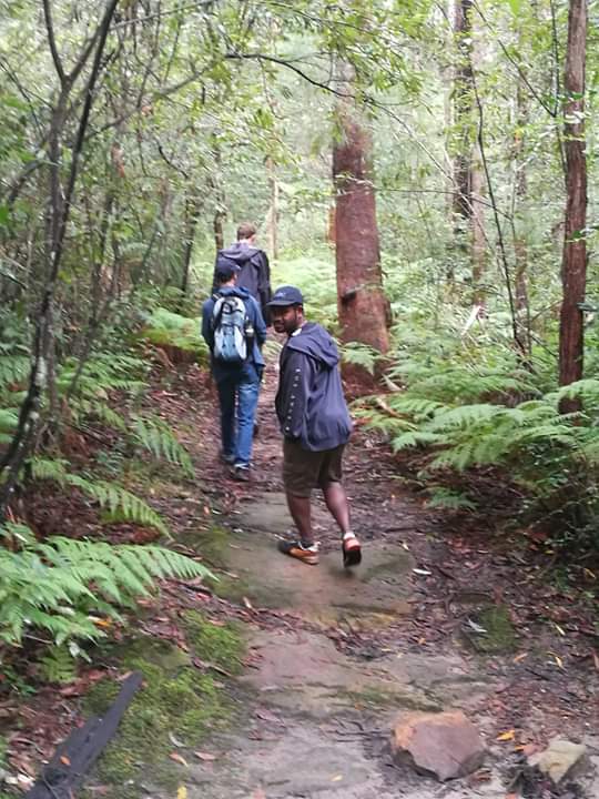 Sheldon Forest Walking Track | park | Pymble NSW 2073, Australia | 0294240000 OR +61 2 9424 0000