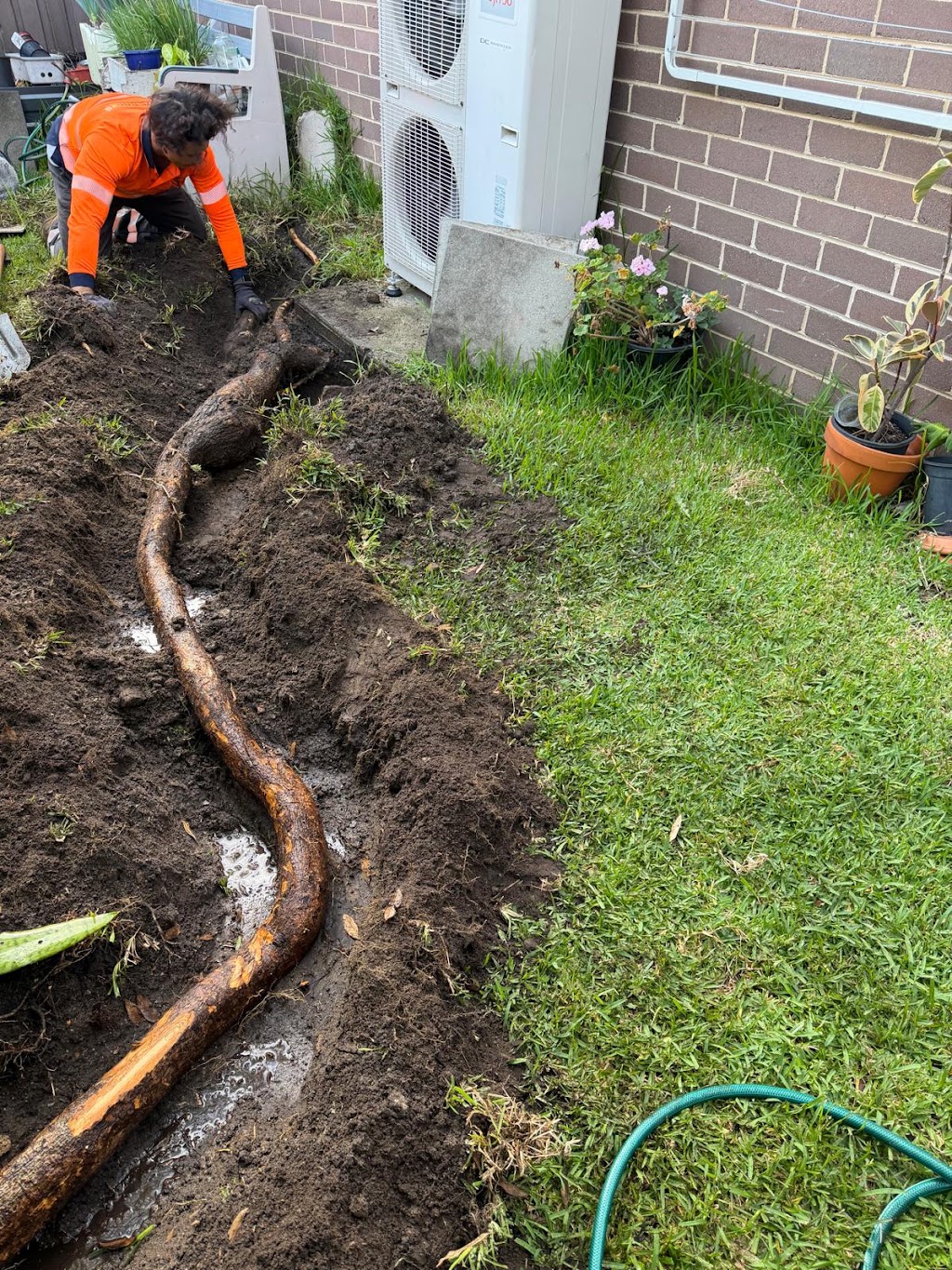 True Roots Trees & Landscapes | 5 Junction St, Mortdale NSW 2223, Australia | Phone: 0422 023 242
