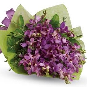 Blue Mountains Blossoms | florist | 15 Green St, Glenbrook NSW 2773, Australia | 0408985838 OR +61 408 985 838