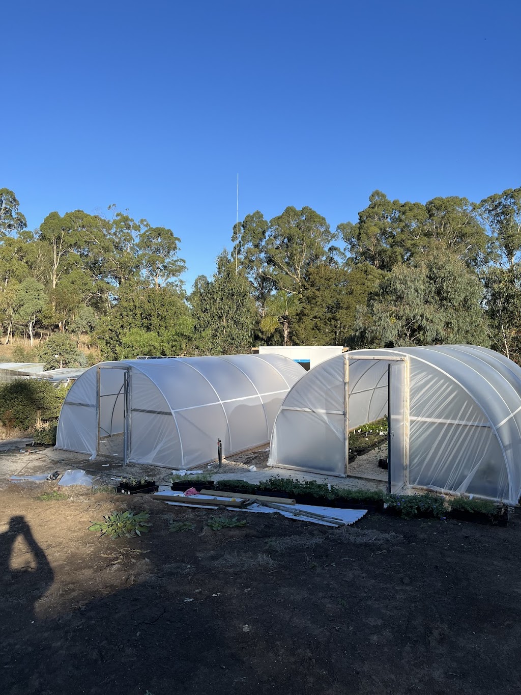 K valley plants | 15 Maxwell Rd, Kawarren VIC 3249, Australia | Phone: 0490 030 580
