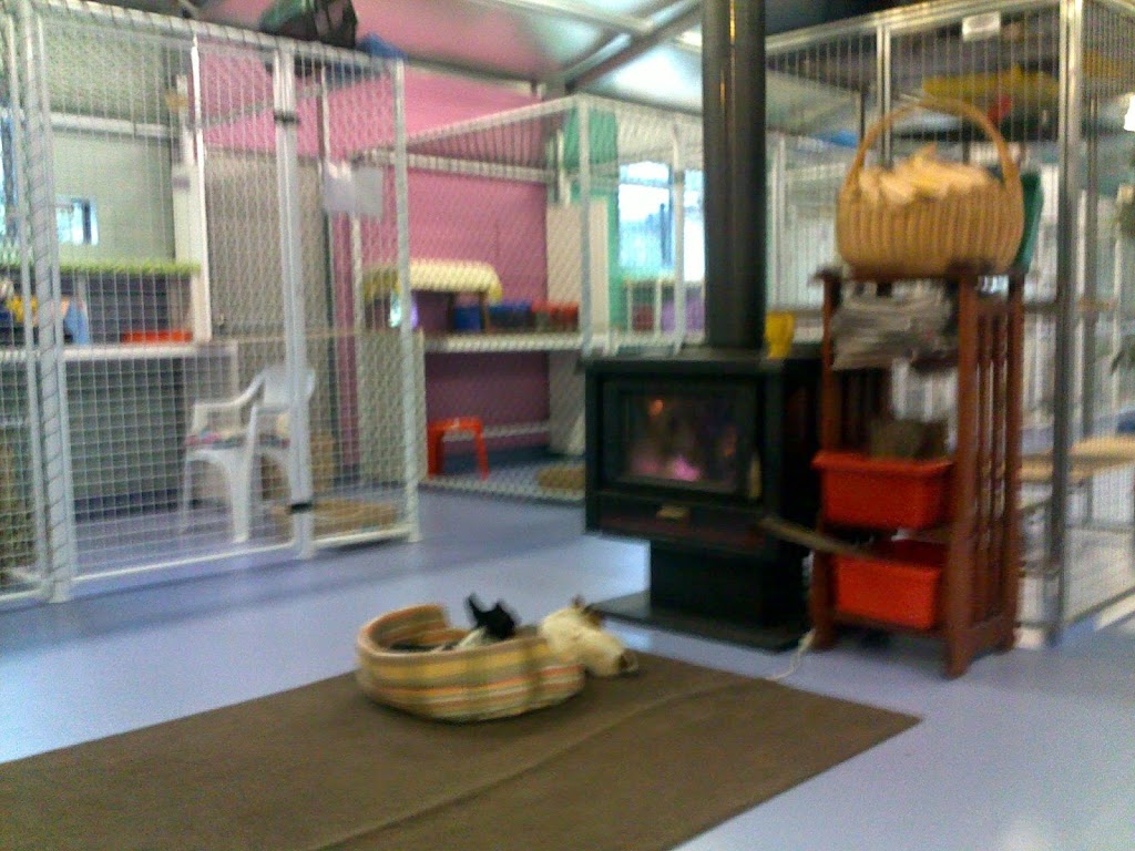 Top Dog Pet Resort And Top Cat Cattery | 1761 Bellarine Hwy, Marcus Hill VIC 3222, Australia | Phone: (03) 5251 3126