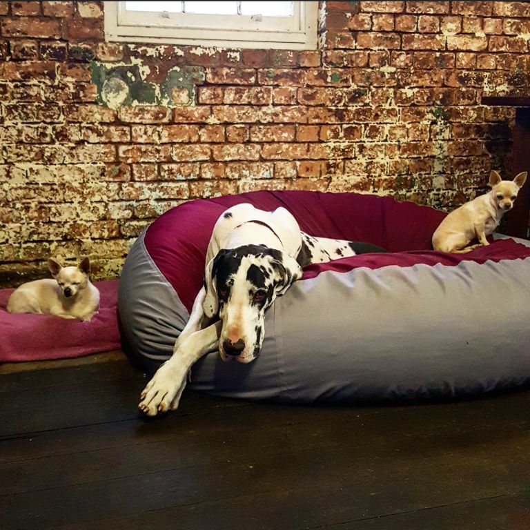 Barka Parka Dog Beds | pet store | 1100 Stud Rd, Rowville VIC 3178, Australia | 0390163394 OR +61 3 9016 3394