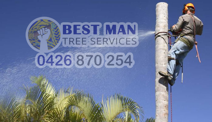 Best Man Tree Services | 3 Roscoe St, Kotara South NSW 2289, Australia | Phone: 0411 520 336