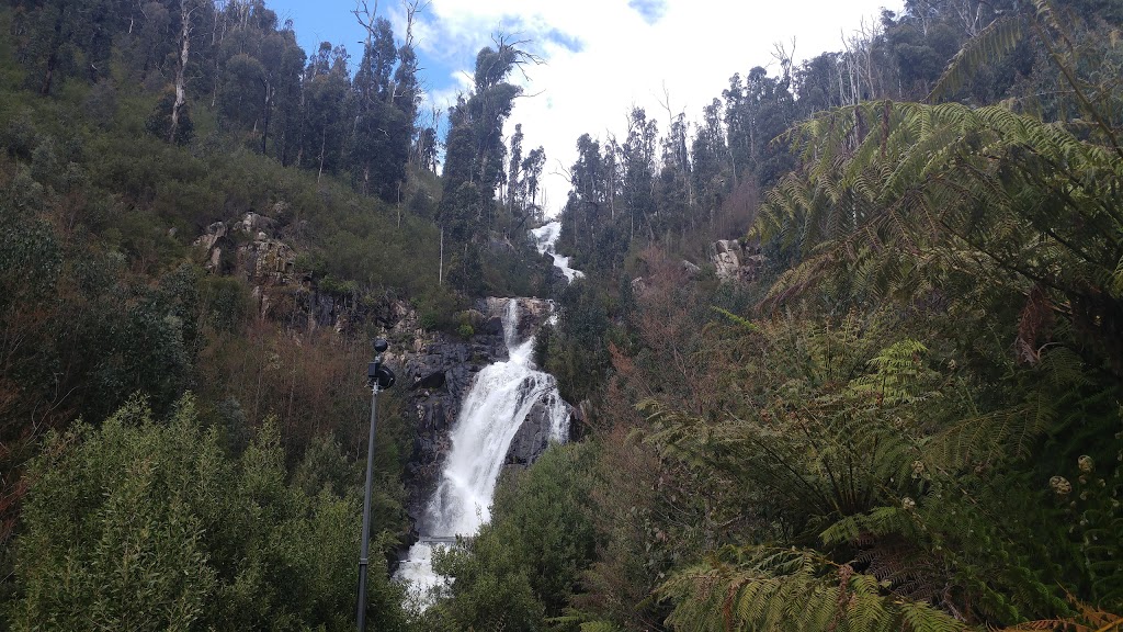 Steavenson Falls Reserve | Marysville VIC 3779, Australia | Phone: 13 19 63