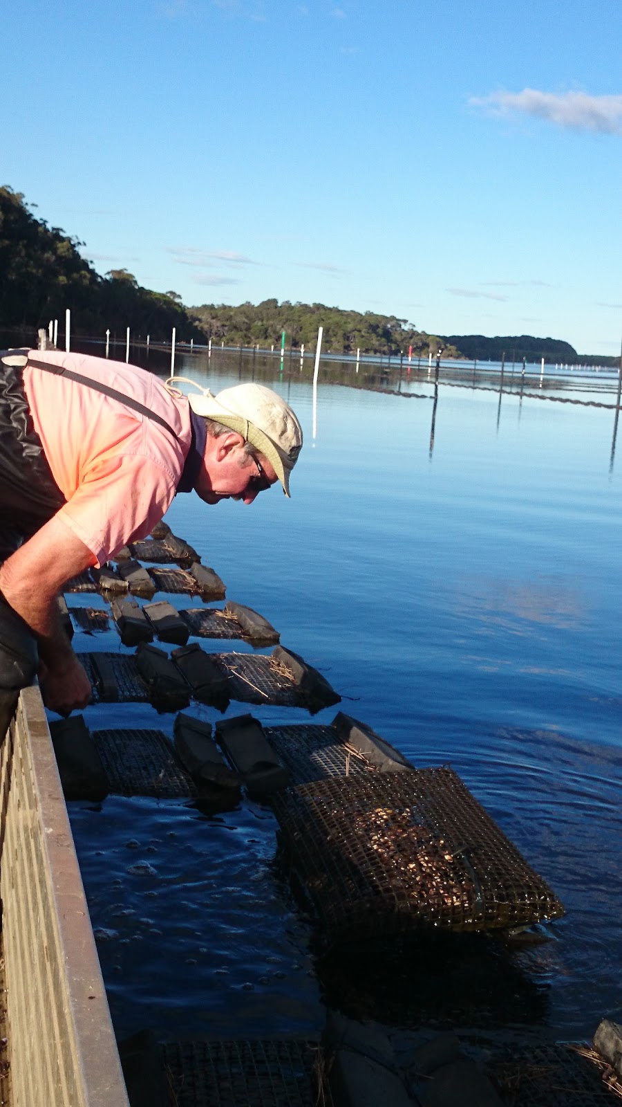 Wonboyn Rock Oysters |  | -37.251224, 149.917674, LOT 42 Nadgee Rd, Wonboyn NSW 2551, Australia | 0264969165 OR +61 2 6496 9165