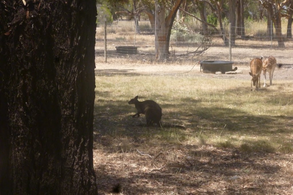 Fauna Park, Kaniva | Commercial St W, Kaniva VIC 3419, Australia | Phone: (03) 5392 7700