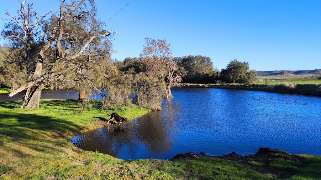 Long Neck Creek Farm Stay | lodging | 1556 Chapman Valley Rd, Narra Tarra WA 6532, Australia | 0409883335 OR +61 409 883 335