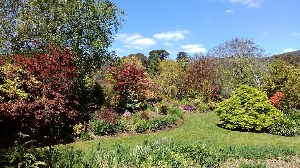 Como Gardens | 79 Basin-Olinda Rd, The Basin VIC 3145, Australia | Phone: (03) 9761 1341