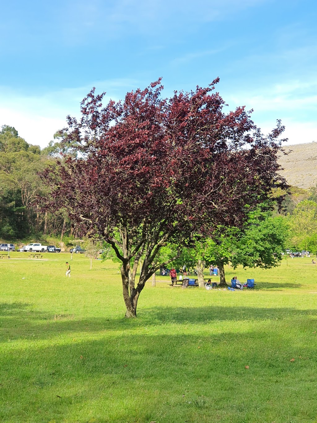 Crystal Brook Picnic Area | Cardinia Reservoir Access Rd, Emerald VIC 3782, Australia | Phone: (03) 8427 2002