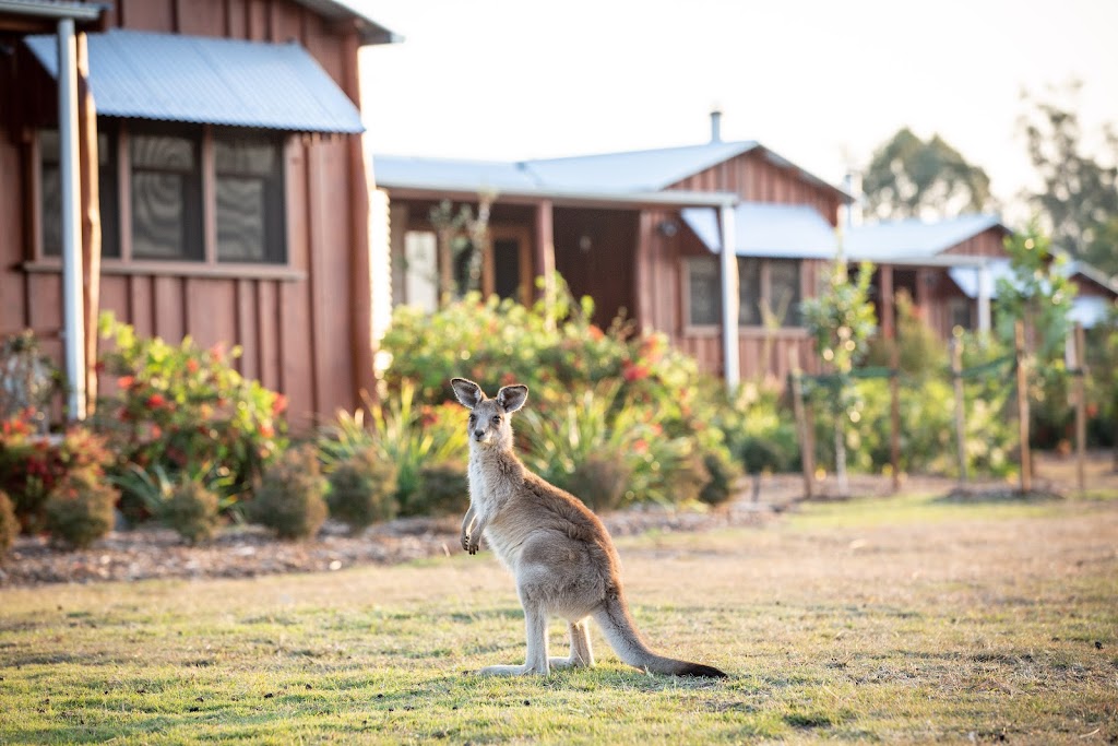 Hidden Vale Wildlife Centre | 617 Grandchester Mount Mort Rd, Grandchester QLD 4340, Australia | Phone: 0418 765 894 Hidden Vale Wildlife Centre | 617 Grandchester Mount Mort Rd, Grandchester QLD 4340, Australia | Phone: 0418 765 894