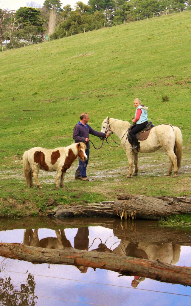 Chum Creek Horseriding & Huts. | travel agency | 221 Heath Rd, Chum Creek VIC 3777, Australia | 0407326276 OR +61 407 326 276