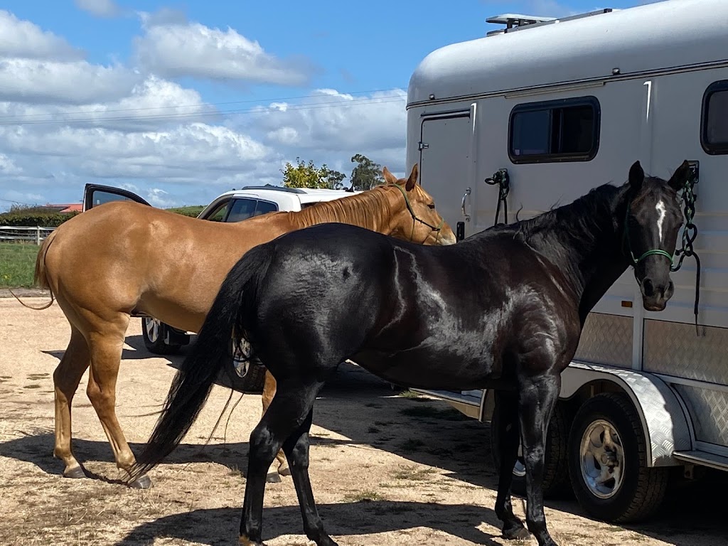 Anroc Quarter Horse Stud |  | 8108 Bass Hwy, Sassafras TAS 7307, Australia | 0433395753 OR +61 433 395 753