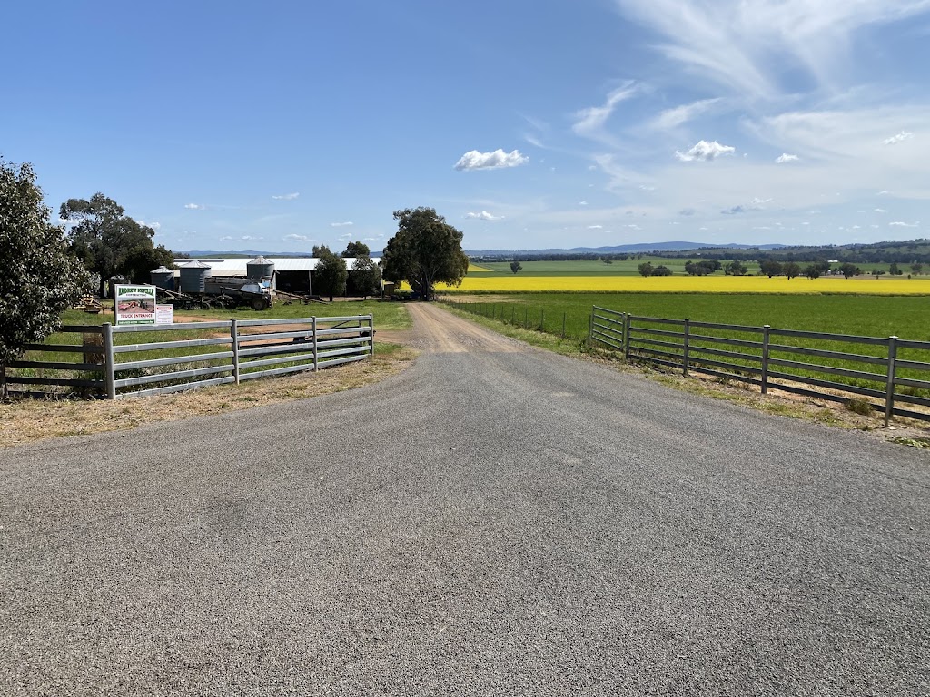 Andrew Neville Contracting | 148 Troopers Rd, Canowindra NSW 2804, Australia | Phone: 0428 443 238