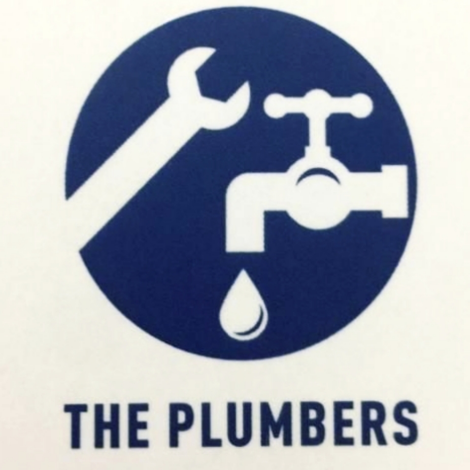The plumber | Culverston Ave, Denham Court NSW 2565, Australia | Phone: 0449 164 185