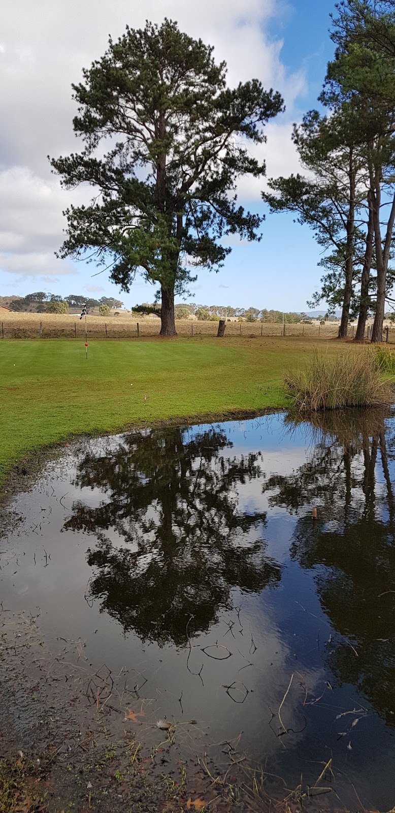 Tenterfield Golf Club | 169 Pelham St, Tenterfield NSW 2372, Australia | Phone: (02) 6736 1480