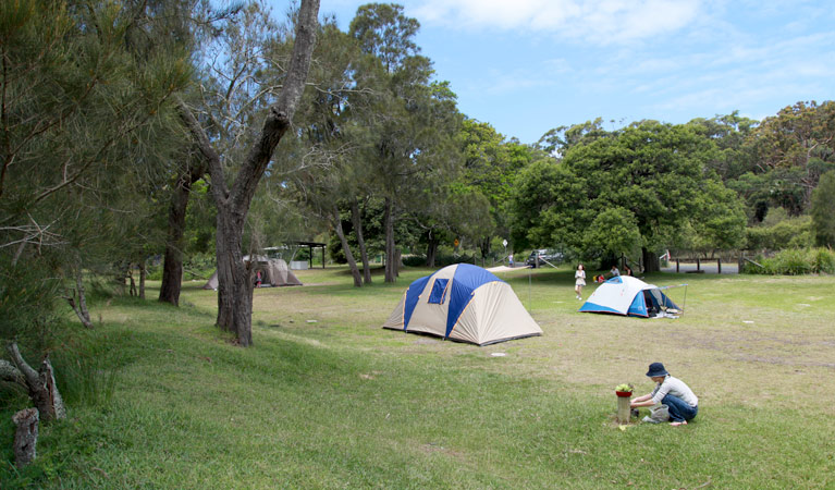 Bonnie Vale campground | campground | 2 Seabreeze Lane, Royal National Park NSW 2233, Australia | 1300072757 OR +61 1300 072 757