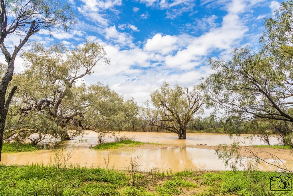 Hasties Swamp National Park | park | Koci Road,, Atherton QLD 4883, Australia | 0740914222 OR +61 7 4091 4222