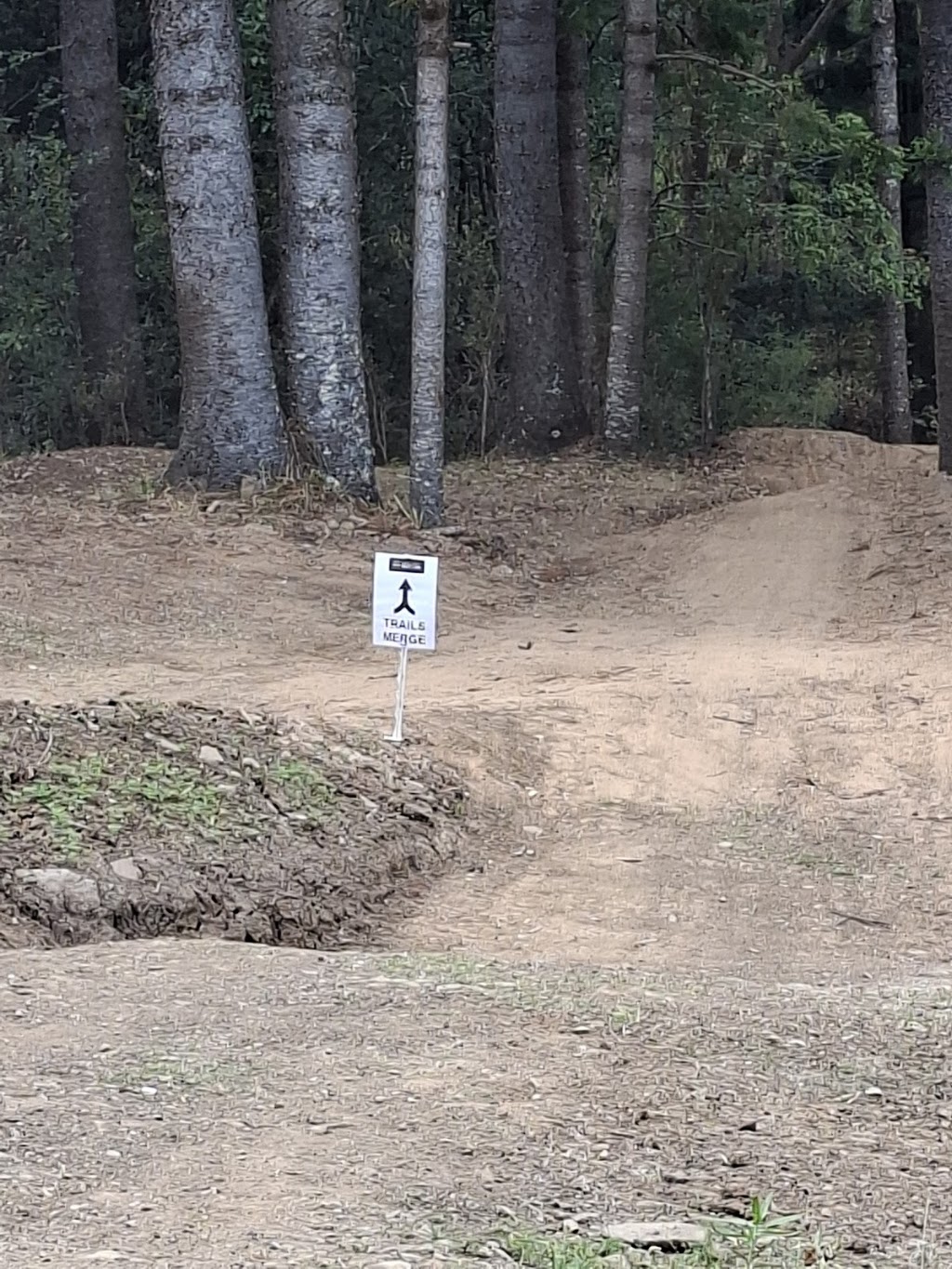 NV Gravity Bike Park inc. DIRT TIME MTB | 2296 Nerang Murwillumbah Rd, Numinbah Valley QLD 4211, Australia | Phone: 0418 900 139