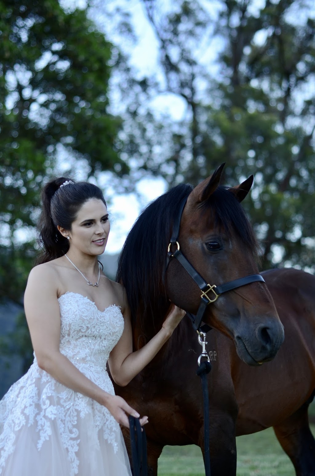 The Scenic Rim Wedding Venue Collection |  | 28 Elizabeth St, Aratula QLD 4309, Australia | 0421202080 OR +61 421 202 080