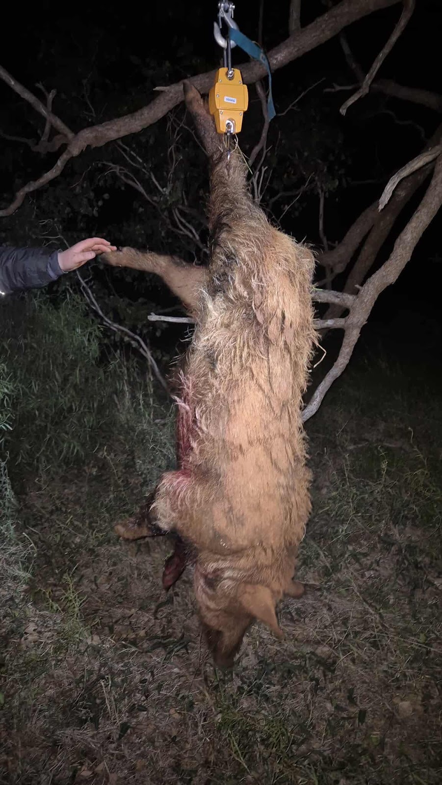 Davrac Rural Pest Services | Curries Rd, Dubbo NSW 2830, Australia | Phone: 0414 603 151
