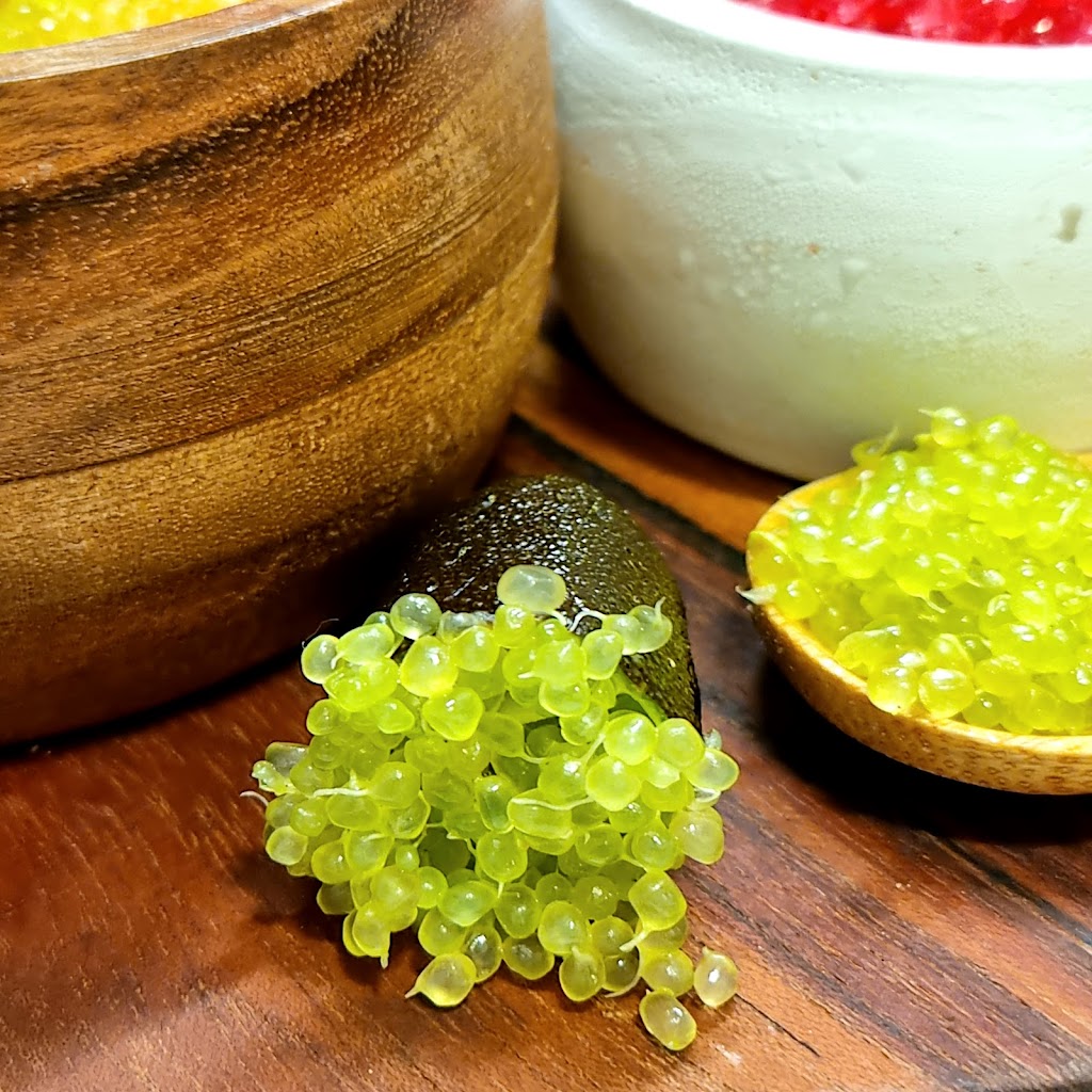 Scenic Rim Finger Limes | 542 Philp Mountain Rd, Running Creek QLD 4287, Australia | Phone: 0407 157 152