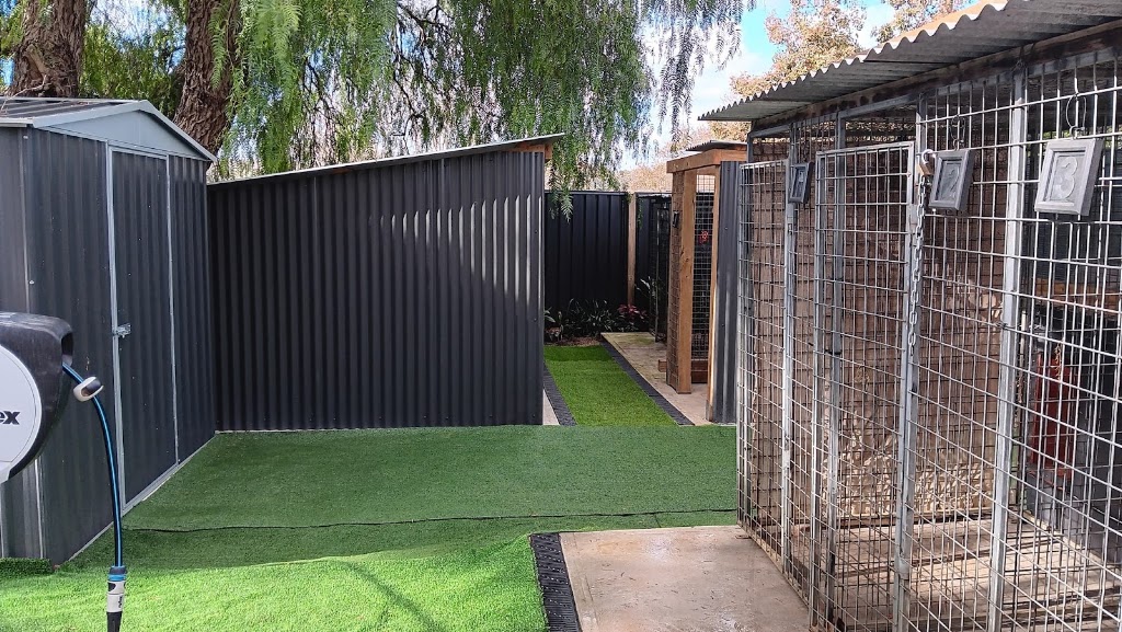 Casterton Dog & Cat Retreat | 23 McCrae Rd, Sandford VIC 3312, Australia | Phone: 0438 668 884