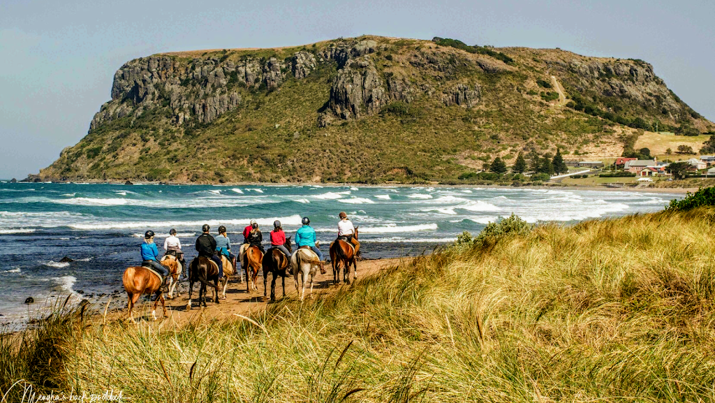 Australian Horse Adventures | travel agency | 88 Westwood Rd, Carrick TAS 7291, Australia | 1800586284 OR +61 1800 586 284