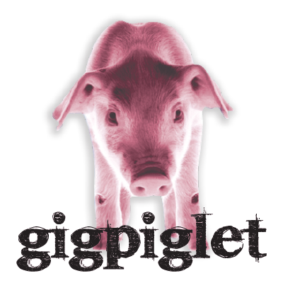 Gigpiglet | electronics store | 5/21 Chester St, Camperdown NSW 2050, Australia | 0289372245 OR +61 2 8937 2245