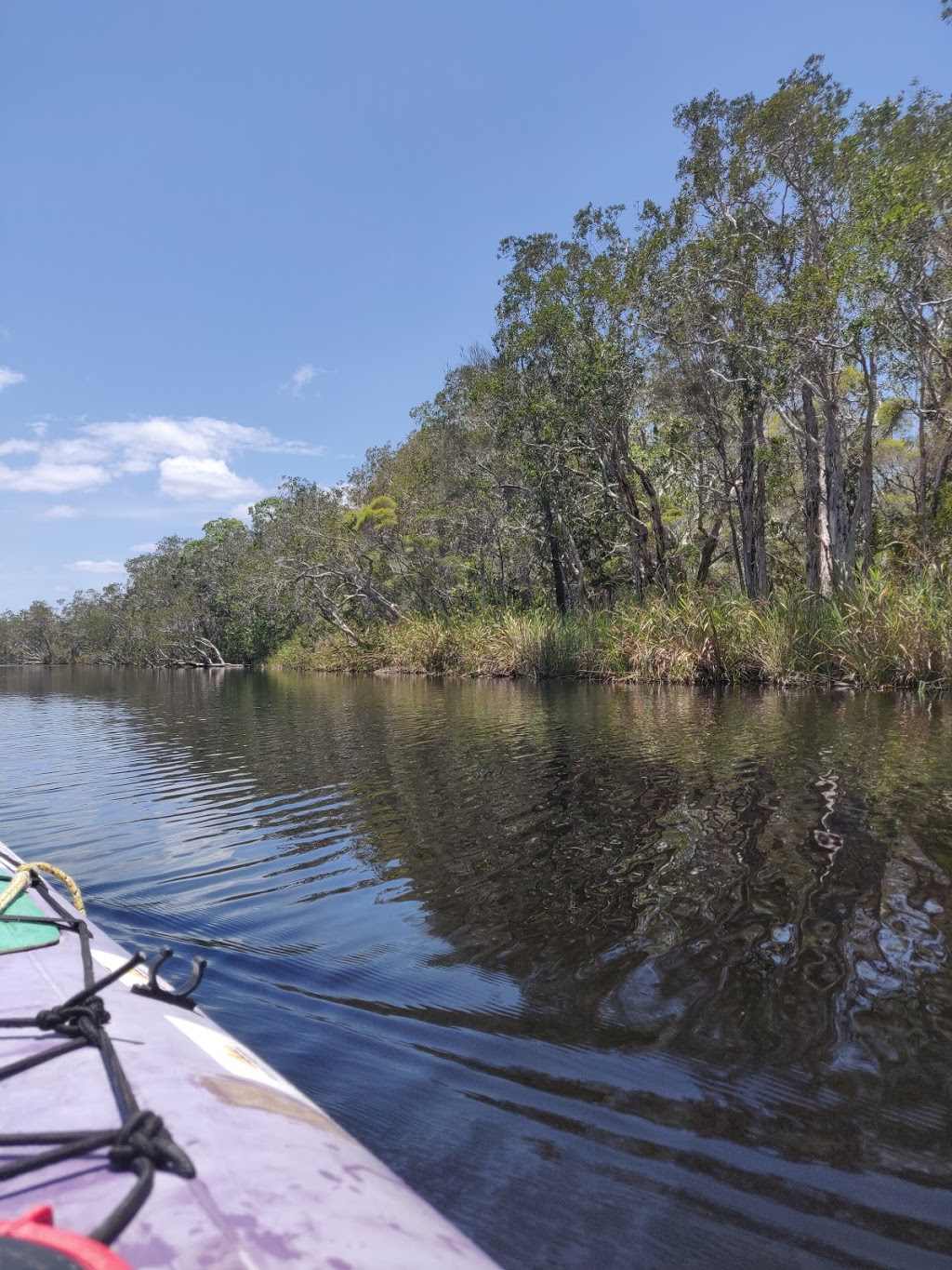 Cooloola (Noosa River) Resources Reserve | park | Como QLD 4571, Australia