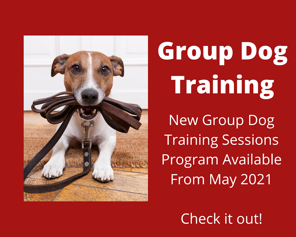 Ilona Dog training | 72 Gilston St, Keperra QLD 4054, Australia | Phone: 0424 232 172