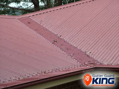 Gutter Guard King | roofing contractor | 15 Jeffrey Ave, St Clair NSW 2759, Australia | 1800188000 OR +61 1800 188 000