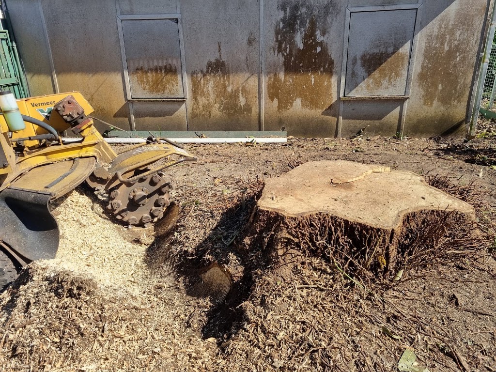 Wades Tree Service | 468 MacKay Habana Rd, Nindaroo QLD 4740, Australia | Phone: (07) 4942 8770