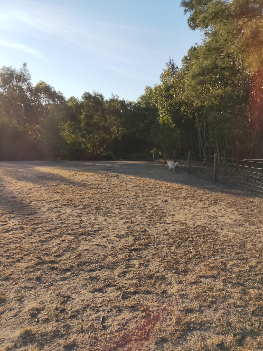 Leash free (fenced) | park | Somerville VIC 3912, Australia