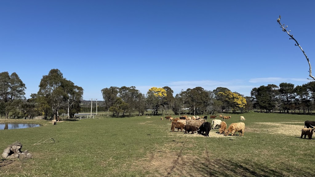 Minard Farm | 135 Richards Ln, Joadja NSW 2575, Australia | Phone: 0456 856 080