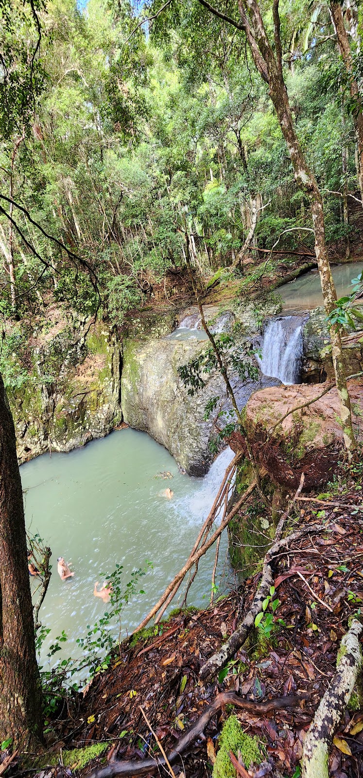 Connect Adventures - Gidjuum Gulganyi Walk | Minyon Dr, Whian Whian NSW 2480, Australia | Phone: 0492 981 811