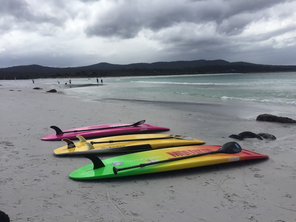 SUP Tours with Tasmanian Walkinbarefoot East Coast Tours | 3 Westbrook La, St Helens TAS 7216, Australia | Phone: 0497 284 148