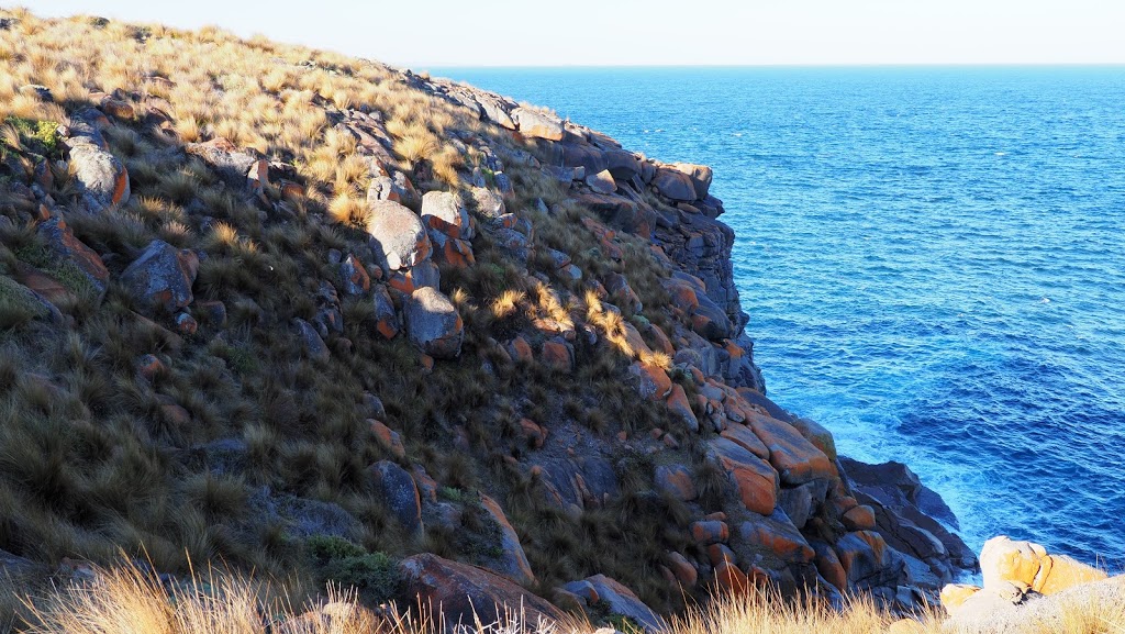 Cape Willoughby Conservation Park | park | Cape Willoughby Rd, Willoughby SA 5222, Australia | 0885534466 OR +61 8 8553 4466