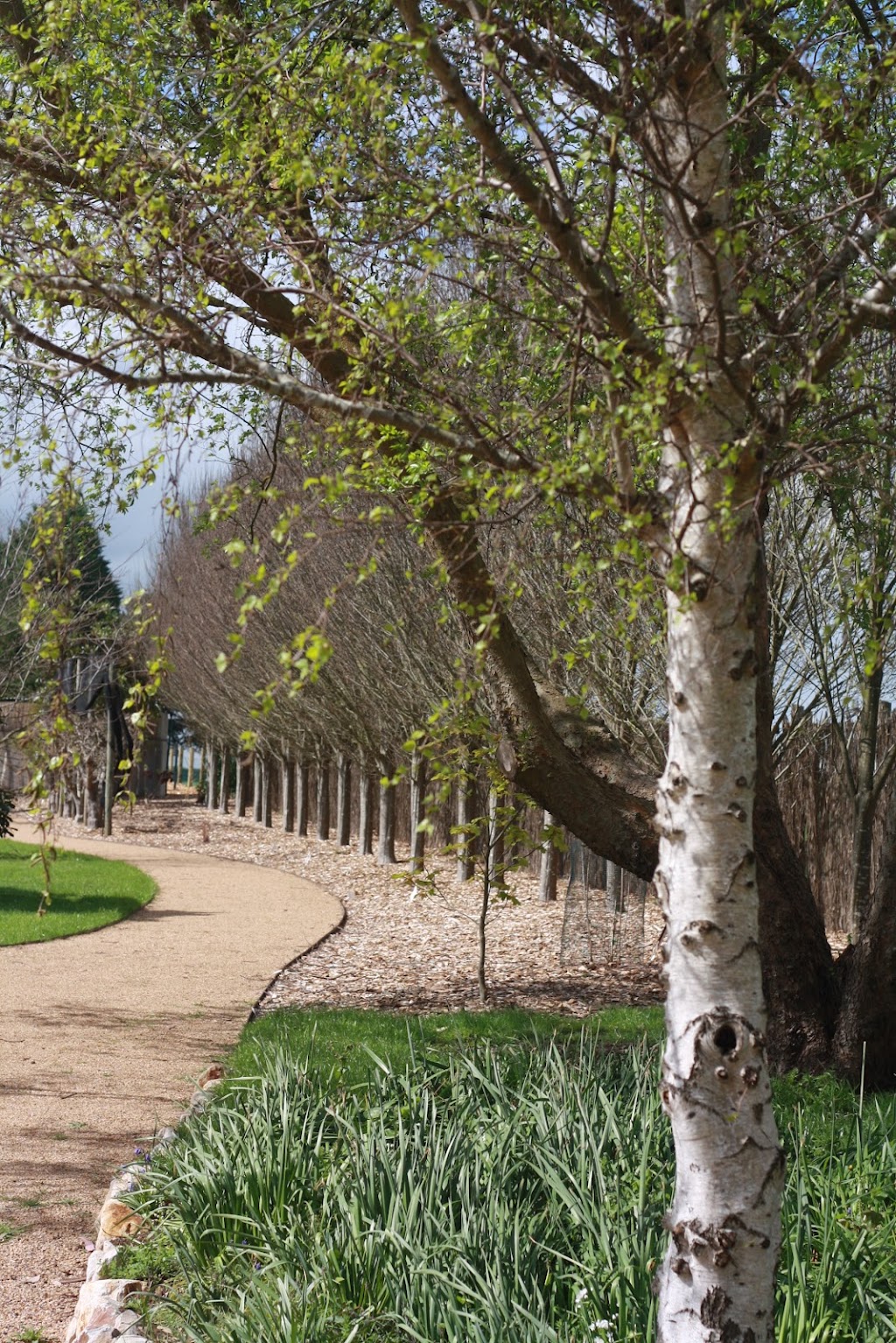 Lillico Nurture | 500 Copelands Rd, Lillico VIC 3820, Australia | Phone: 0418 372 880