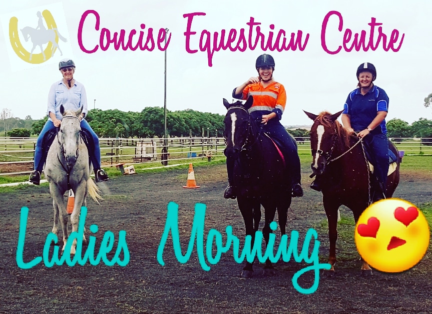 CONCISE EQUESTRIAN CENTRE | 160 Bells Rd, Palmyra QLD 4751, Australia | Phone: 0427 463 057