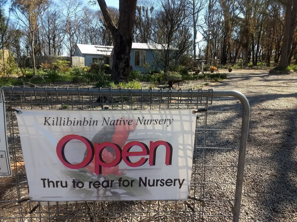 Killibinbin Nursery | 283 Chifley Rd, Dargan NSW 2786, Australia | Phone: 0428 305 120