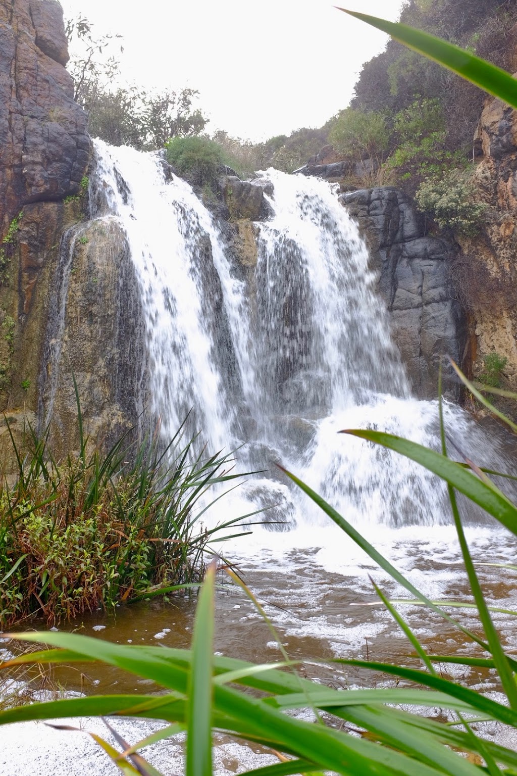 Quinninup Falls | Wilyabrup WA 6280, Australia