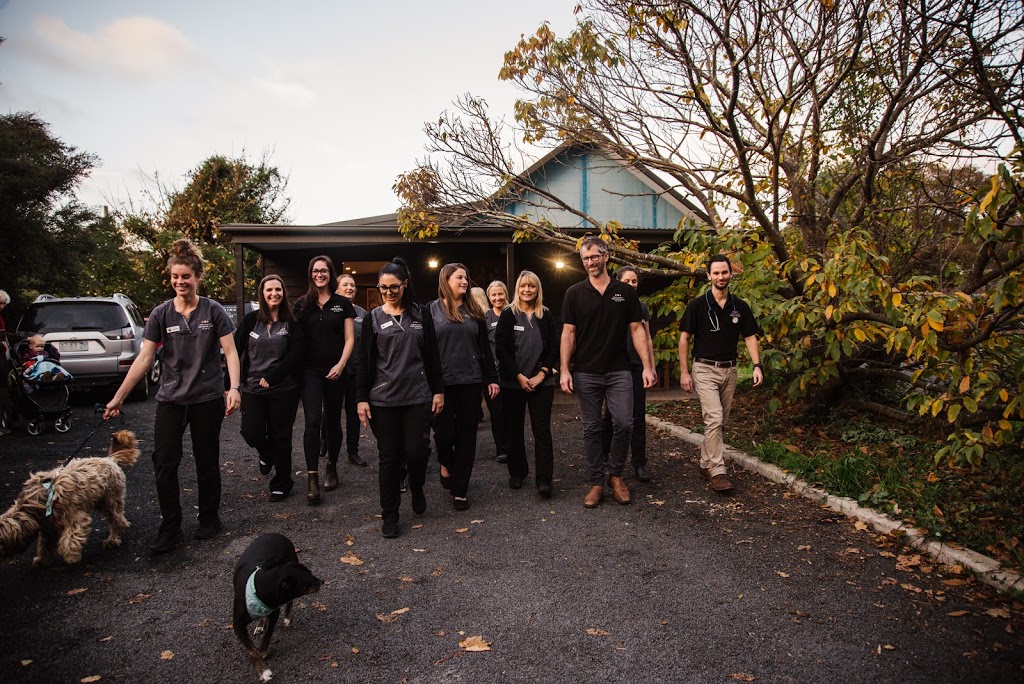 Forth Valley Veterinary Clinic | veterinary care | 25 Wilmot Rd, Forth TAS 7310, Australia | 0364282703 OR +61 3 6428 2703