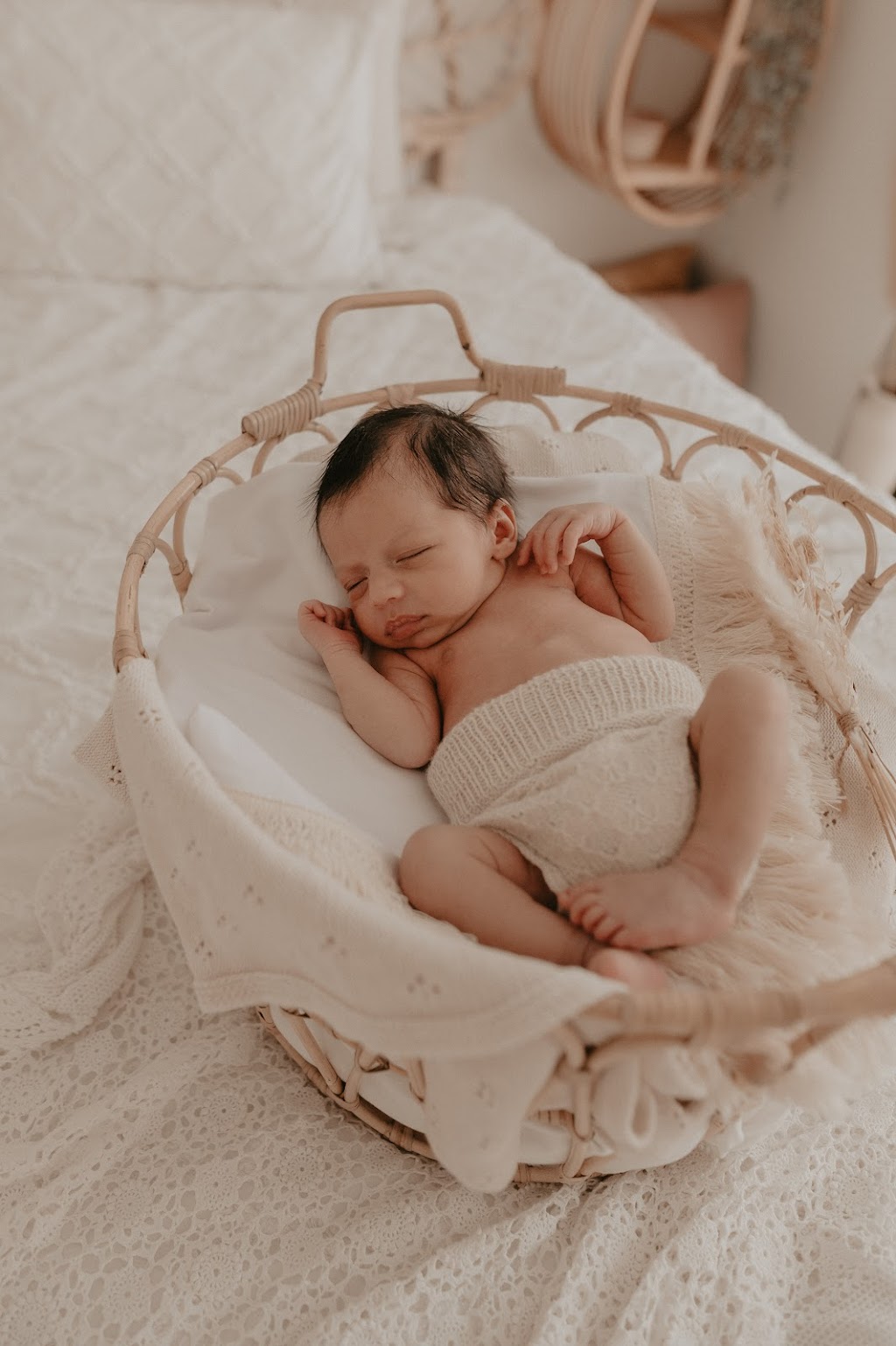 Life with Lou Photography | 30 Lilyvale Cres, Ormeau QLD 4208, Australia | Phone: 0431 048 295