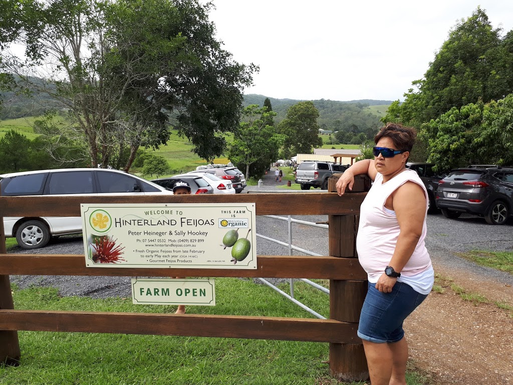 Hinterland Feijoas | 131 Browns Rd, Belli Park QLD 4562, Australia | Phone: 0409 829 899